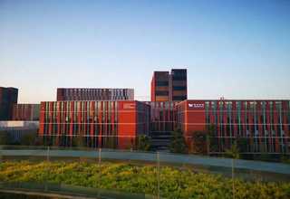 虹口区办公室绿植花卉租赁招标