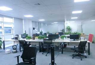 应县盘秀山养生茶礼盒价格