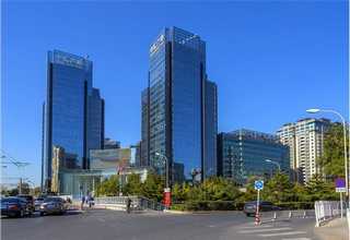 山东本地臭氧机